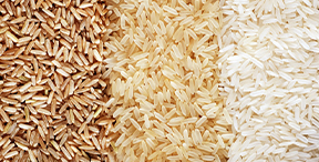 arroz brasileiro exportação