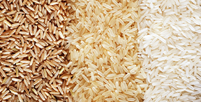 brazilian rice export