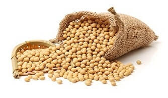 brazilian soybean export