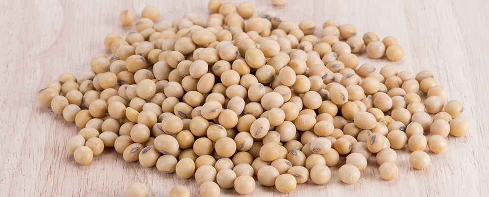 Brazilian Soybean